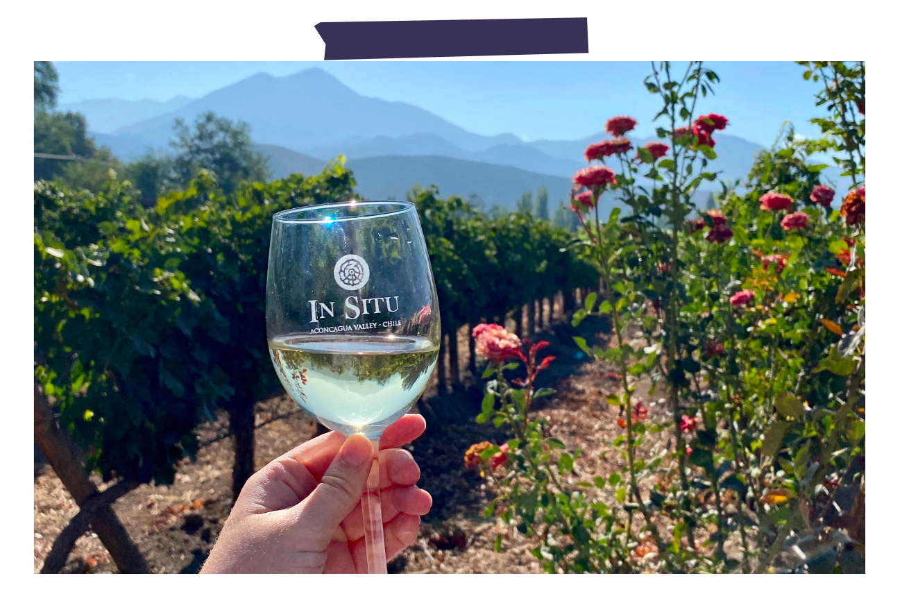 Vineyard experience voucher as a corporate gift for a client
