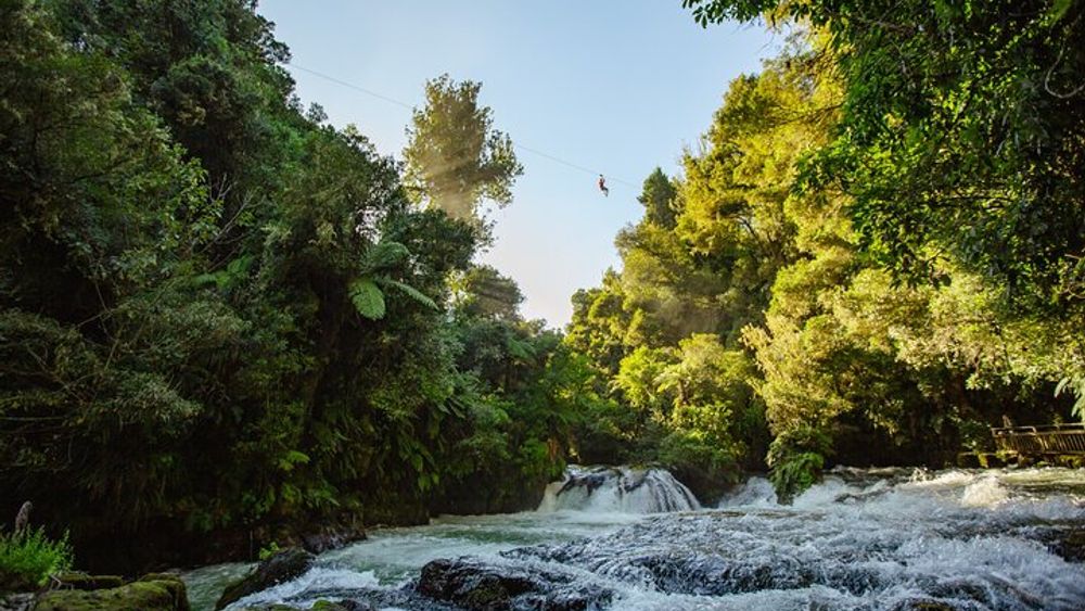 Short Okere Falls Zipline Experience