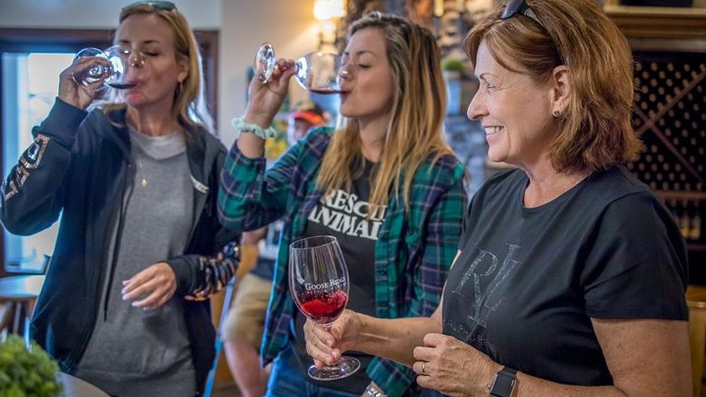 Seattle and Snoqualmie Falls Winery Tour