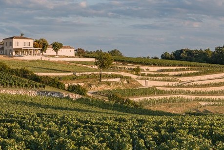 Saint Emilion Full Day Shared Wine Tour from Bordeaux
