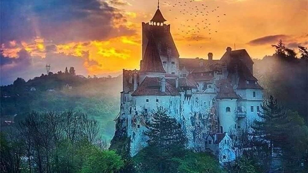 Bran Castle, Rasnov, Harman, Prejmer Churches Tour from Brasov