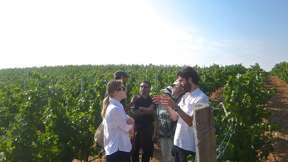 Madrid Countryside Wineries Guided Tour with Wine Tasting