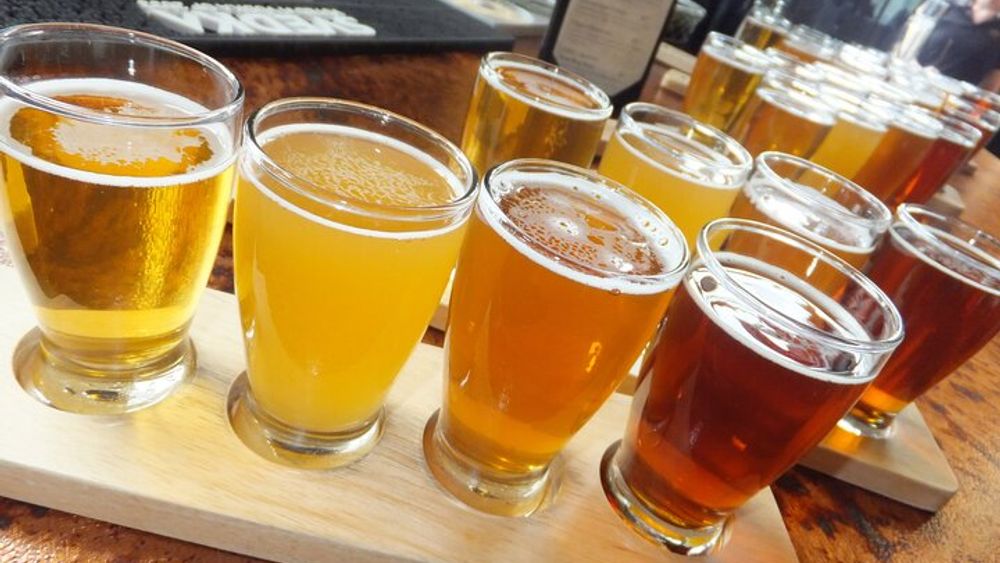 Colorado Springs Downtown Brewery Tour