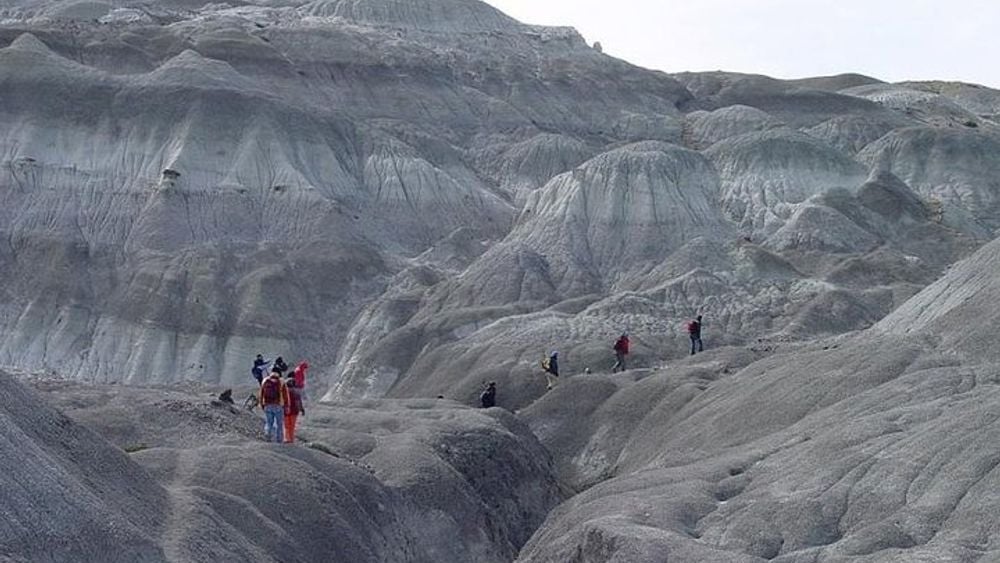 El Calafate to La Leona Petrified Forest Full-Day Hiking Tour