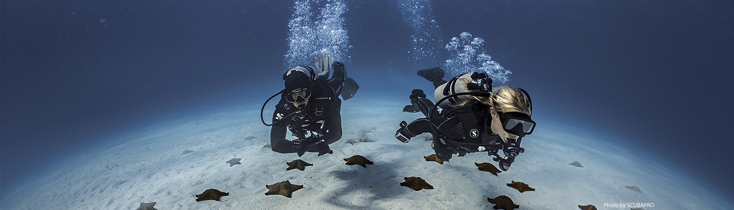 SDI Open Water Diver