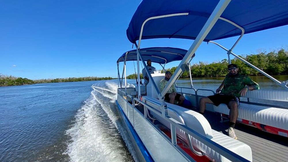 Naples Private Dolphin and Manatee Boat Tour