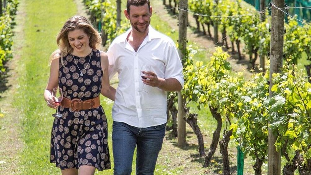 The Essence of Waiheke Wine Tour