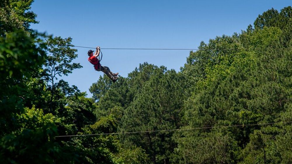 Ziplining and Climbing at The Adventure Park at Virginia Aquarium