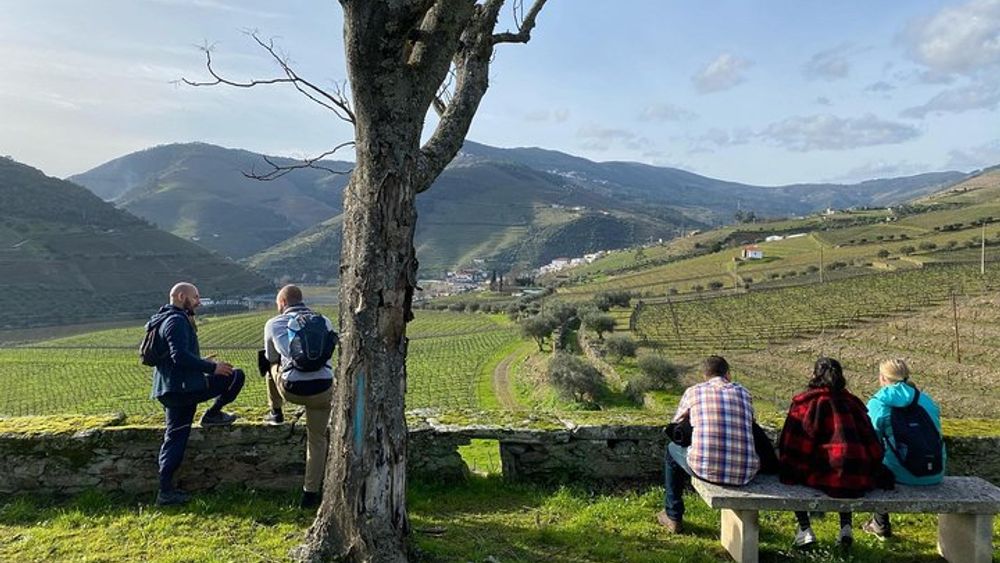 HIKE at DOURO VALLEY w/ winery visit and tasting