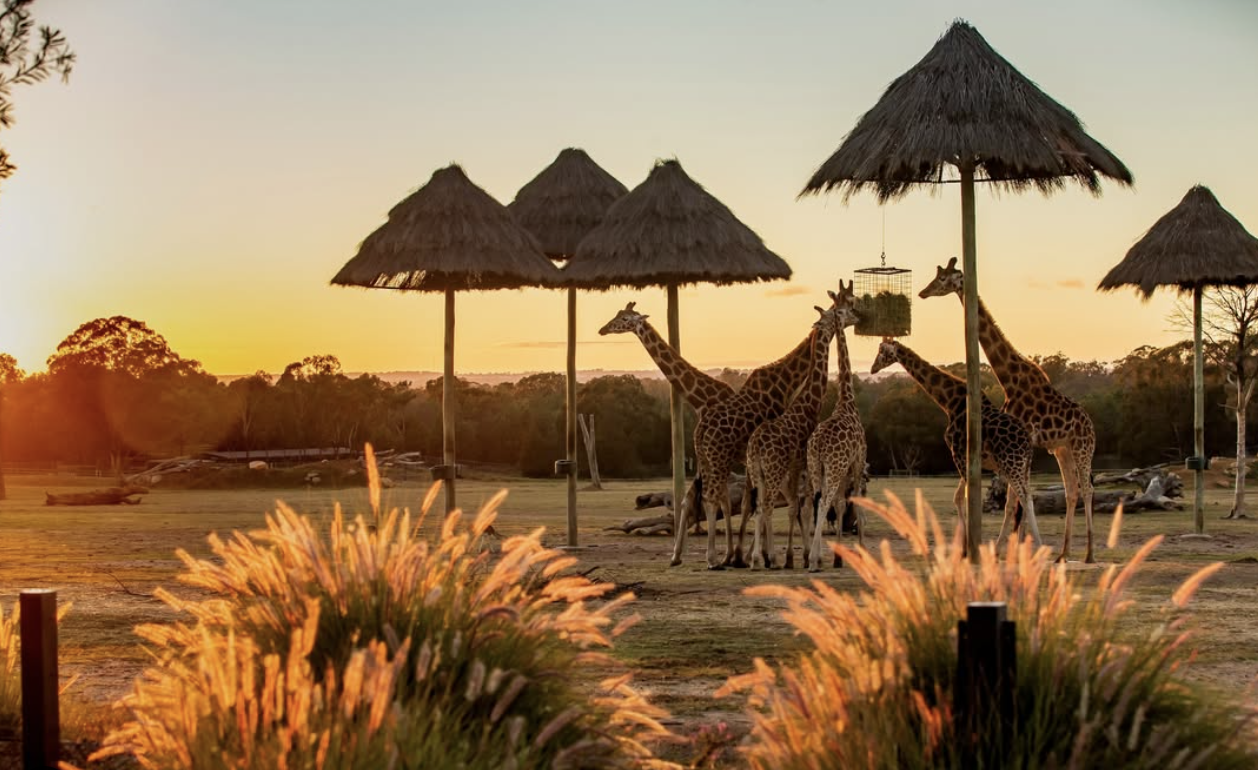 Taronga Zoo Sydney