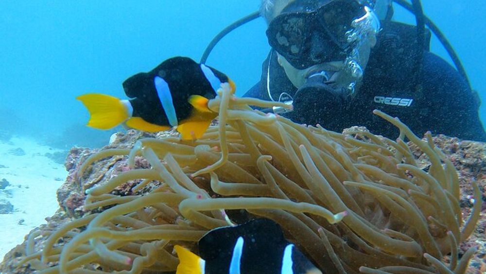 Scuba Diving in muscat