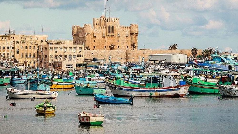 Alexandria Guided Day Trip with Transfers and Entrance Fees