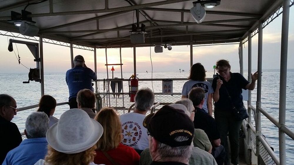 Crystal River Boat Tour & Pontoon Rentals
