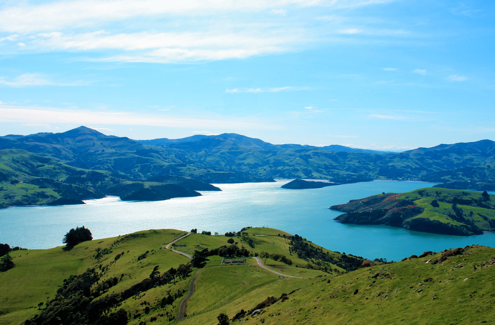 Akaroa & Banks Peninsula Wild Penguins Eco-Tour from Christchurch