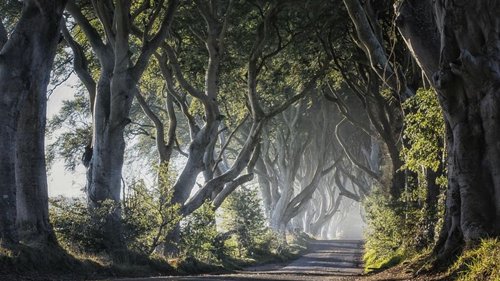 'Game of Thrones' Film Tour from Dublin with Giant's Causeway