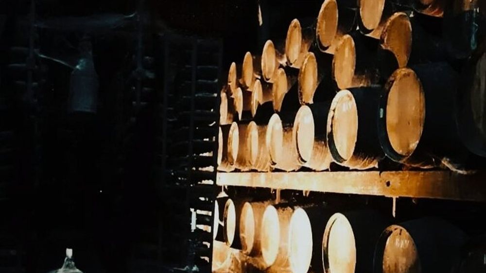 Private Full-Day Arrábida Wine Tour and Food Tasting