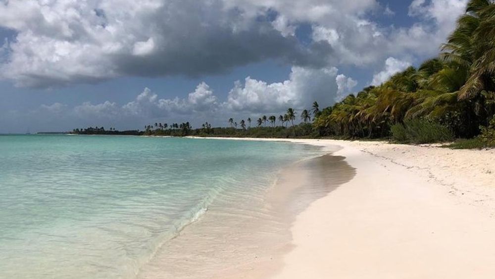 Saona Island Catamaran Adventure