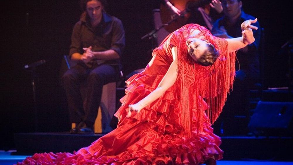 Tapas and Wine Walking Tour with Flamenco Experience