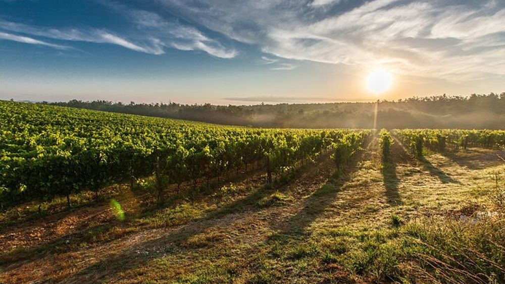 Brescia and Franciacorta winery area. Cultural and wine tasting 1 day tour.