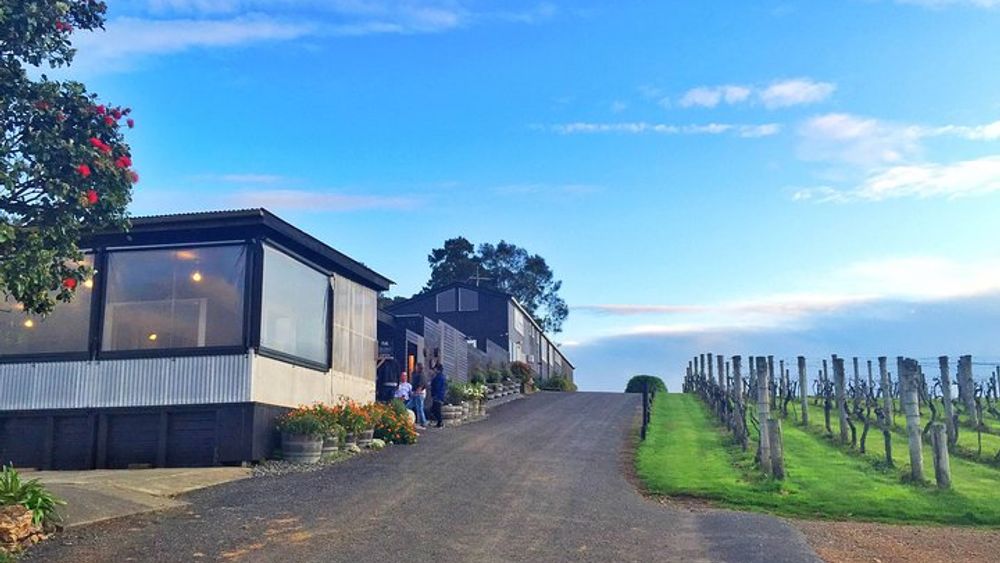 Waiheke Premium Winery Half-Day Tour with Wine Tastings