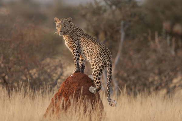 African Adventure Namibia