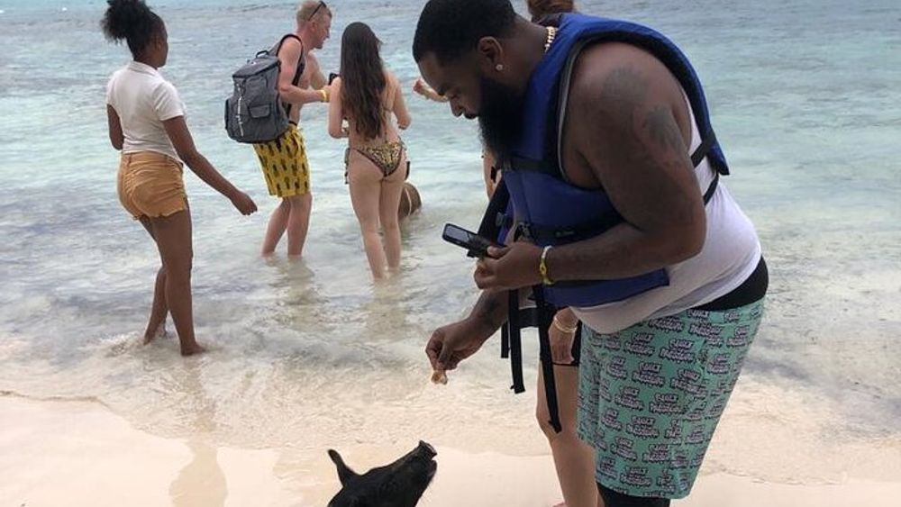 Drive Your Boat and Swim with the Pigs