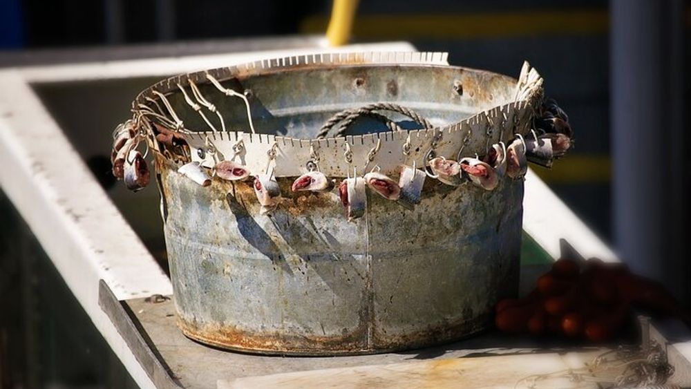 Bering Sea Crab Fisherman's Tour from Ketchikan