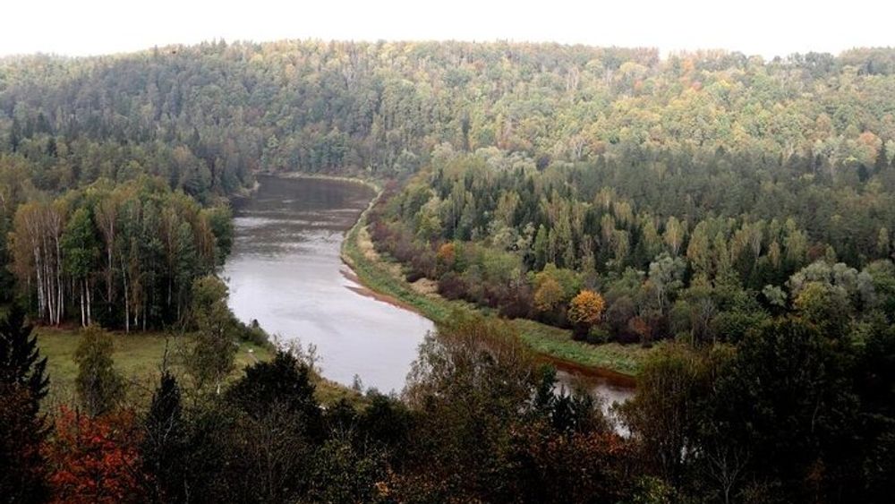 Gauja National Park Small-Group Hiking Tour from Riga