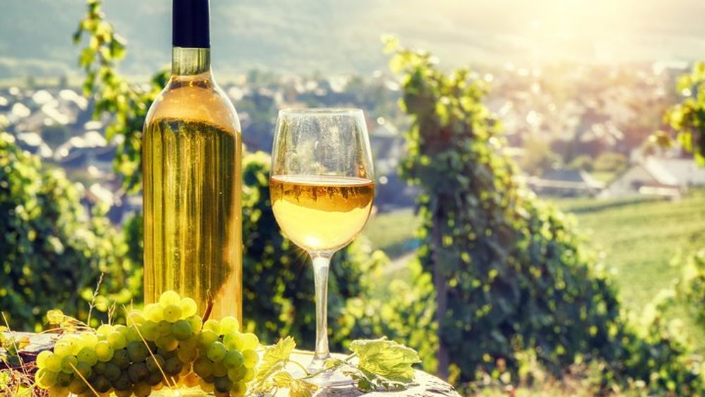 Colmar to Alsace Full-Day Small-Group Wine Tasting Tour