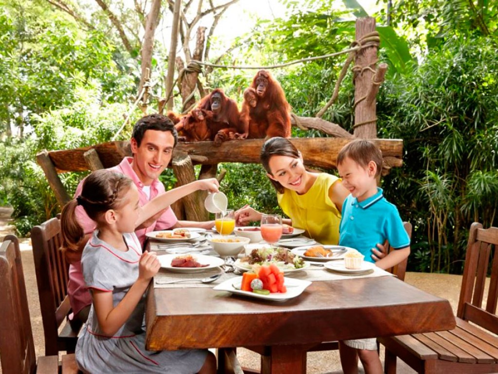 Combo Zoo And River Safari