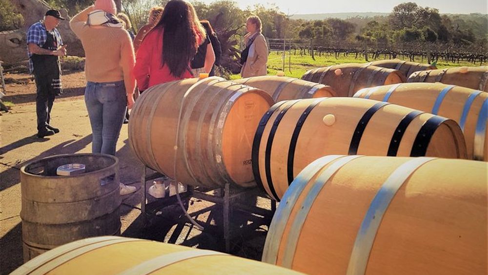 Highlights of Margaret River: Wineries, Boranup Forest & Lunch