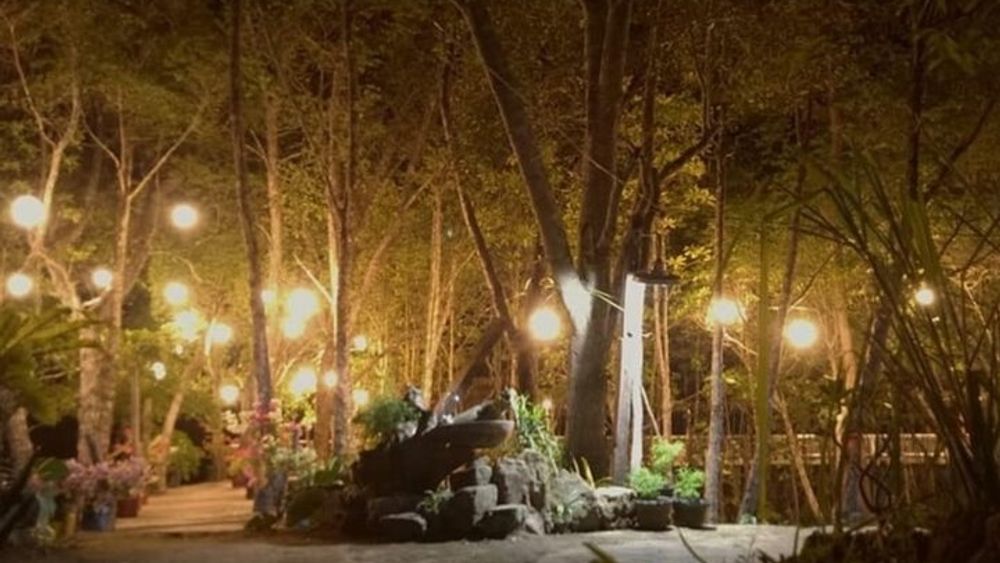 Puerto Princesa Jungle River Firefly Watching