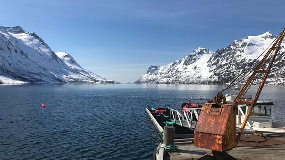 Fjord Sightseeing - Eco friendly Tesla Model X