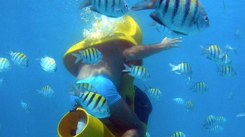Four-Hour Scuba Doo Diving Tour