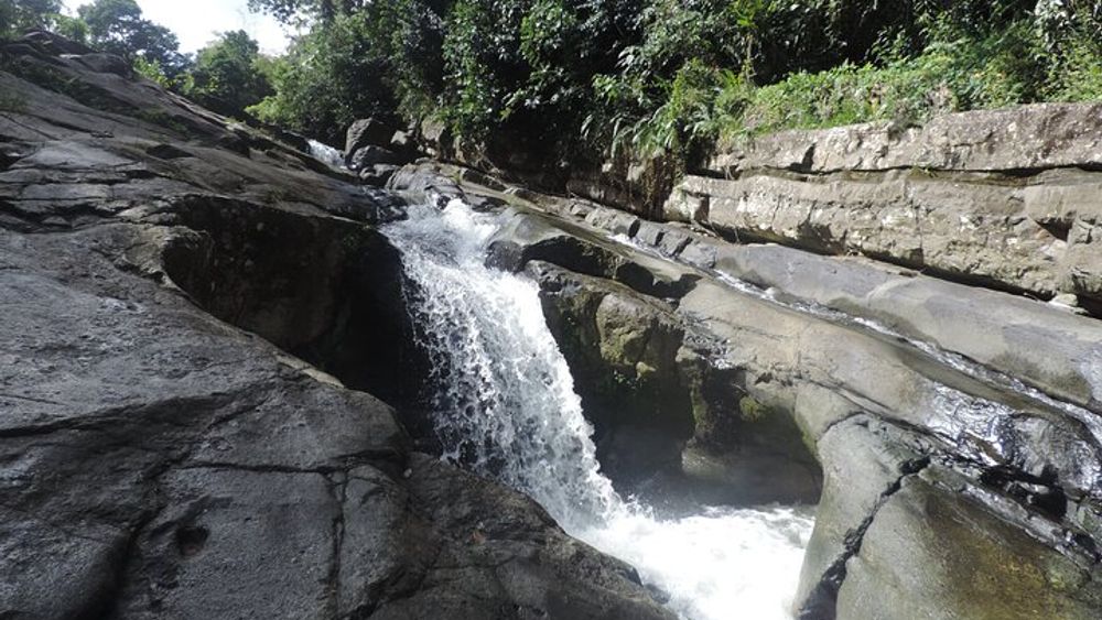 Day Tour in El Yunque Rainforest, Natural Water Slides & Luquillo Beach