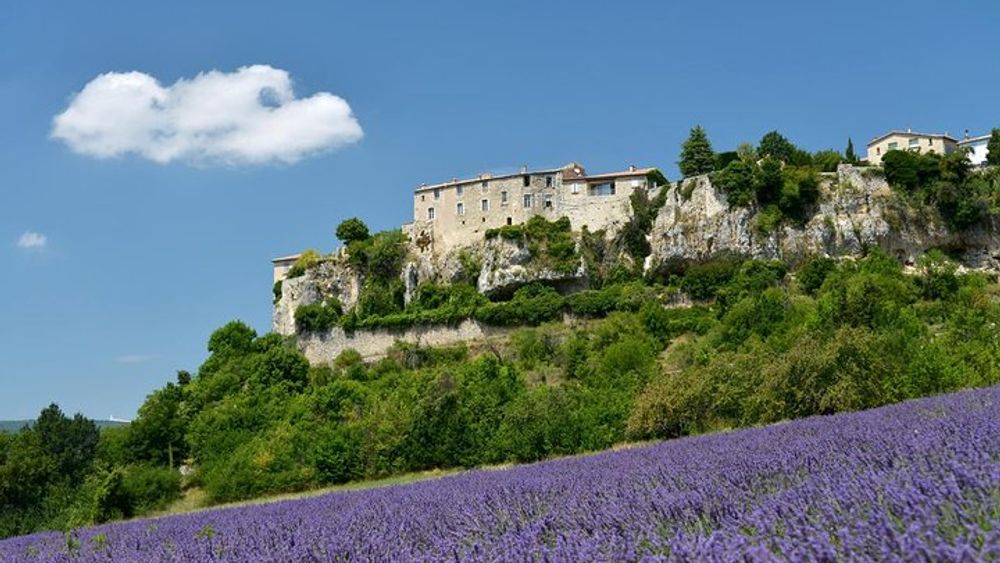 Avignon to Provence Lavender Fields Small-Group Half-Day Trip