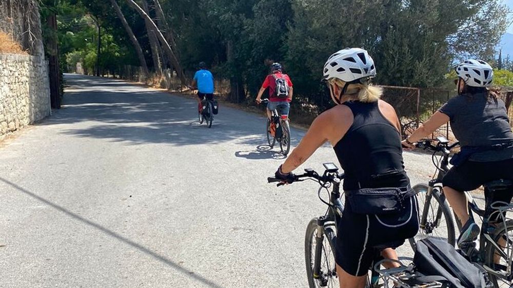 Heraklion Small-Group E-Bike Wine Tasting Tour