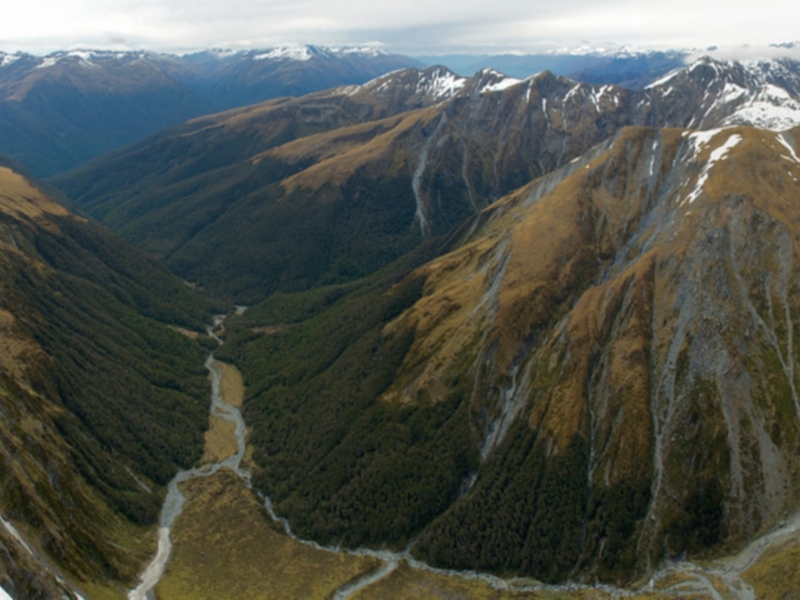 Wanaka Stevensons Island Cruise & Nature Walk