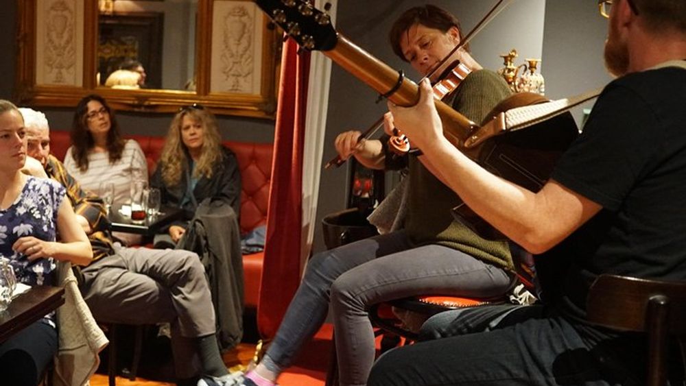 Dublin Temple Bar Traditional Pub Crawl Tour with Irish Music