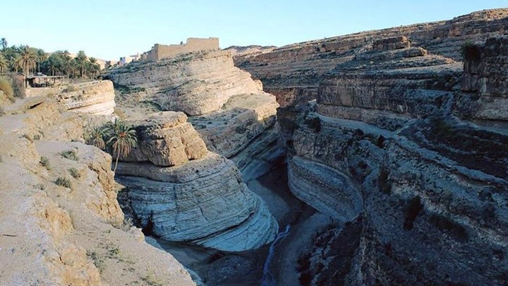 Tamerza Canyon Oasis Tour