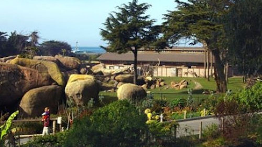San Francisco Zoo: Entry Ticket
