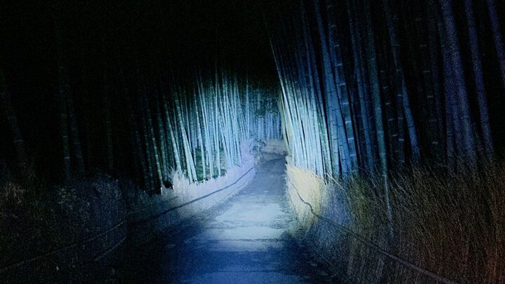 Ghost Mysteries in the Bamboo Forest - Arashiyama Kyoto at night