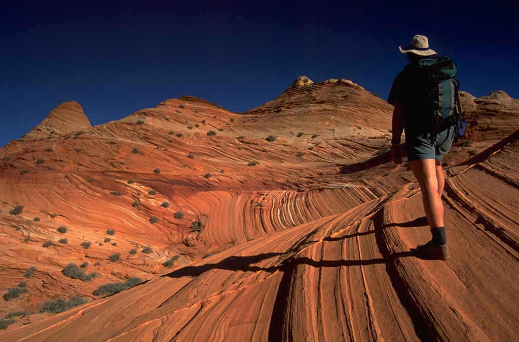 Grand Canyon Trek and Southwest National Parks