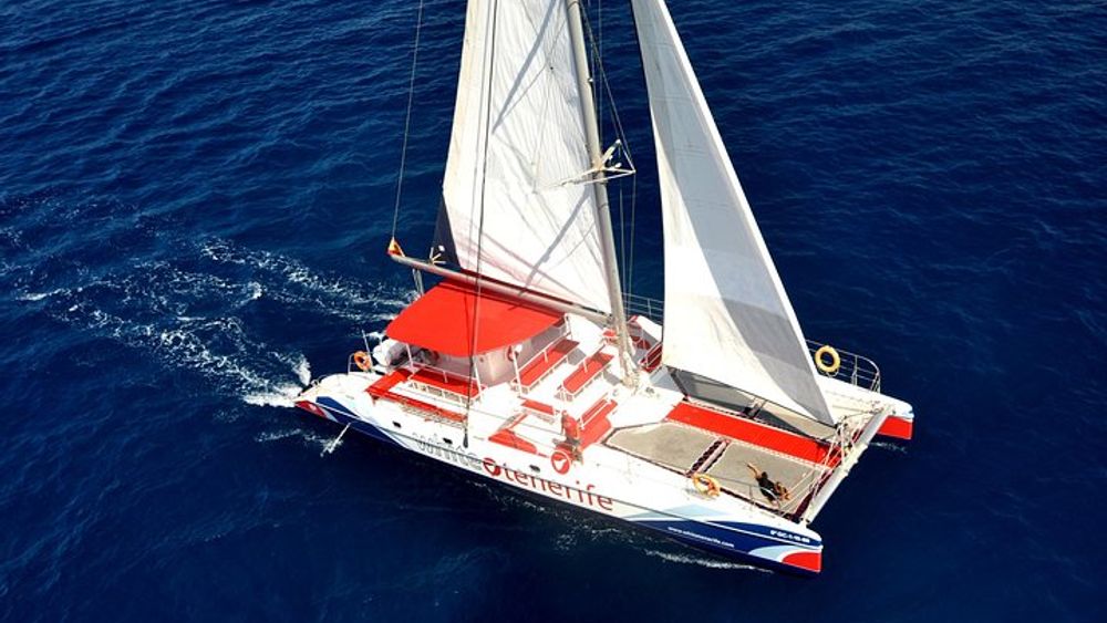 Tenerife Half-Day Dolphin-Watching and Swimming Boat Tour