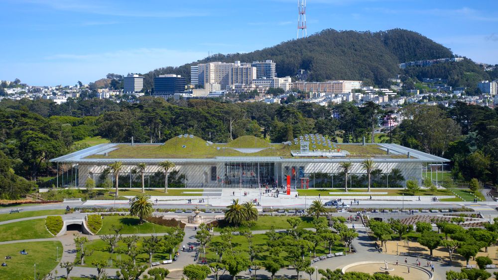 California Academy of Science: Admission Ticket