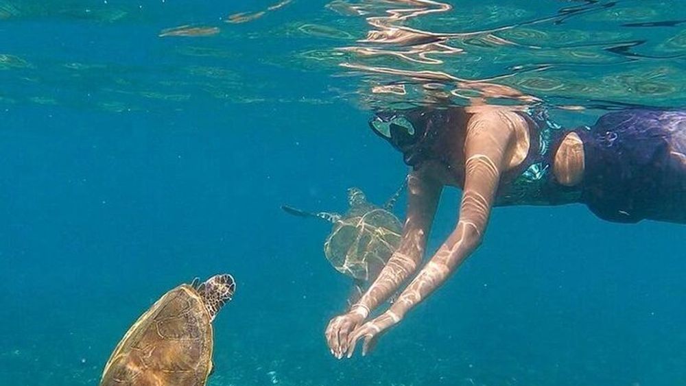 Daymaniyat Islands Snorkeling Half-Day Tour