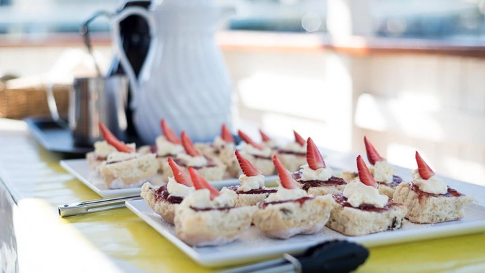 3.5 Hour Cruise to Lunch Package