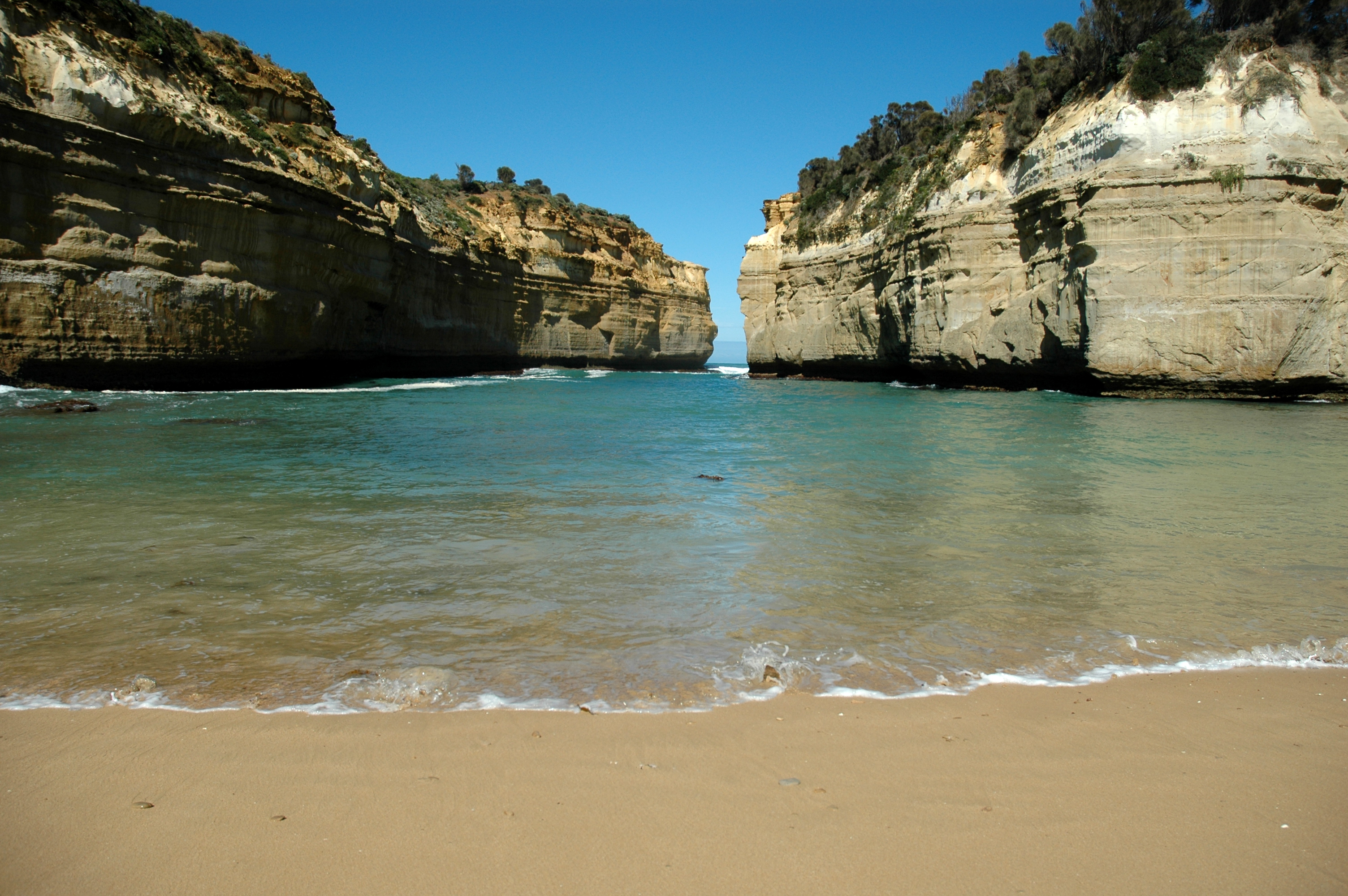 Great Ocean Road Bus Tour Including 12 Apostles, Forest Walk, Koalas, kangaroos, plus.