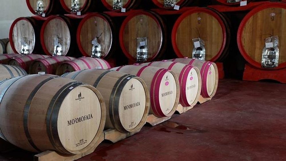 Tuscany Wine Tour from Rome: Siena, San Gimignano with Lunch