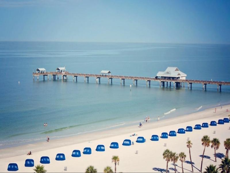 Deep Sea Fishing in the Gulf of Mexico
